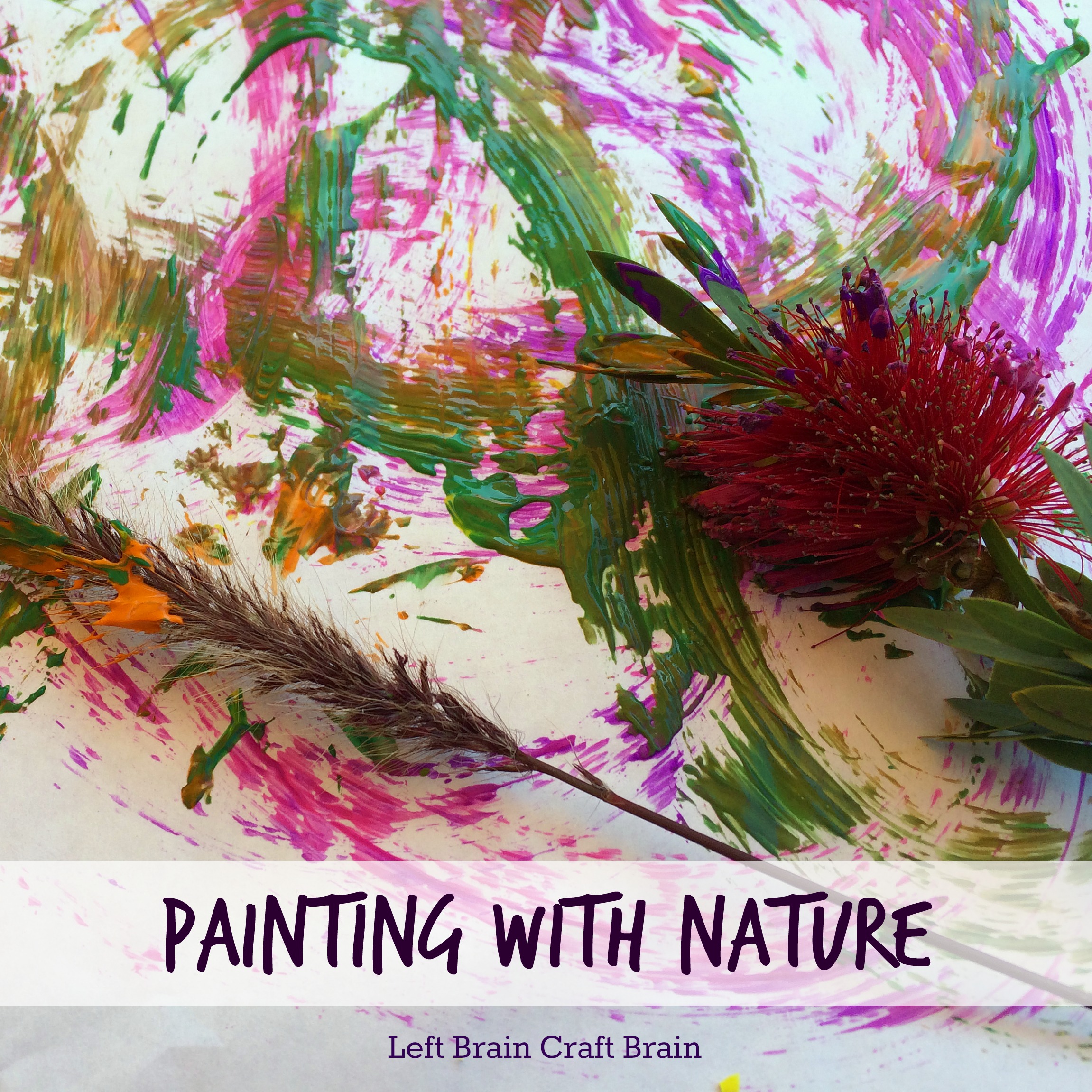 painting with nature natural paintbrushes