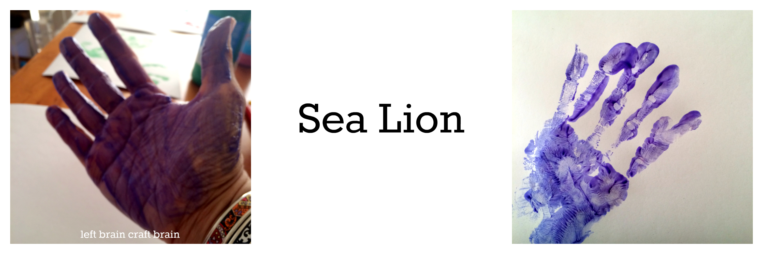 sea lion animal track hand print left brain craft brain