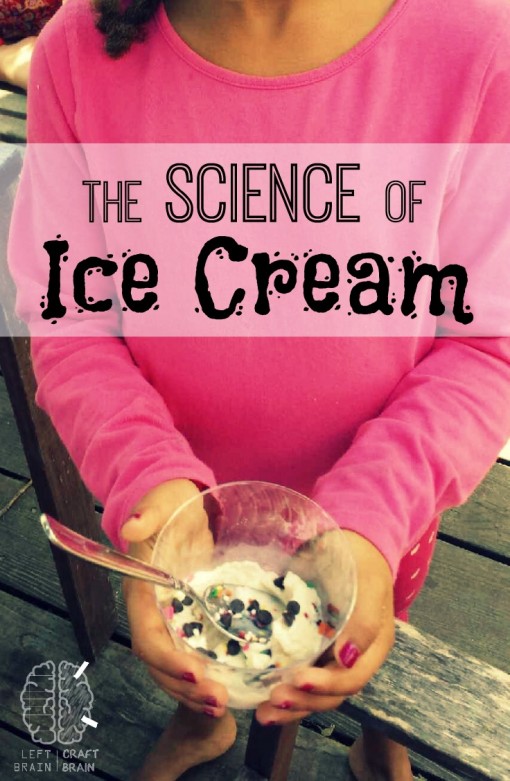 the science of ice cream left brain craft brain