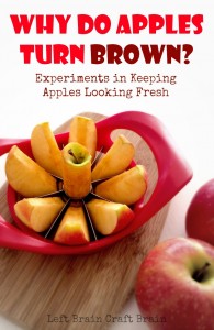 Why Do Apples Turn Brown Experiments in Keeping Apples Looking Fresh Left Brain Craft Brain