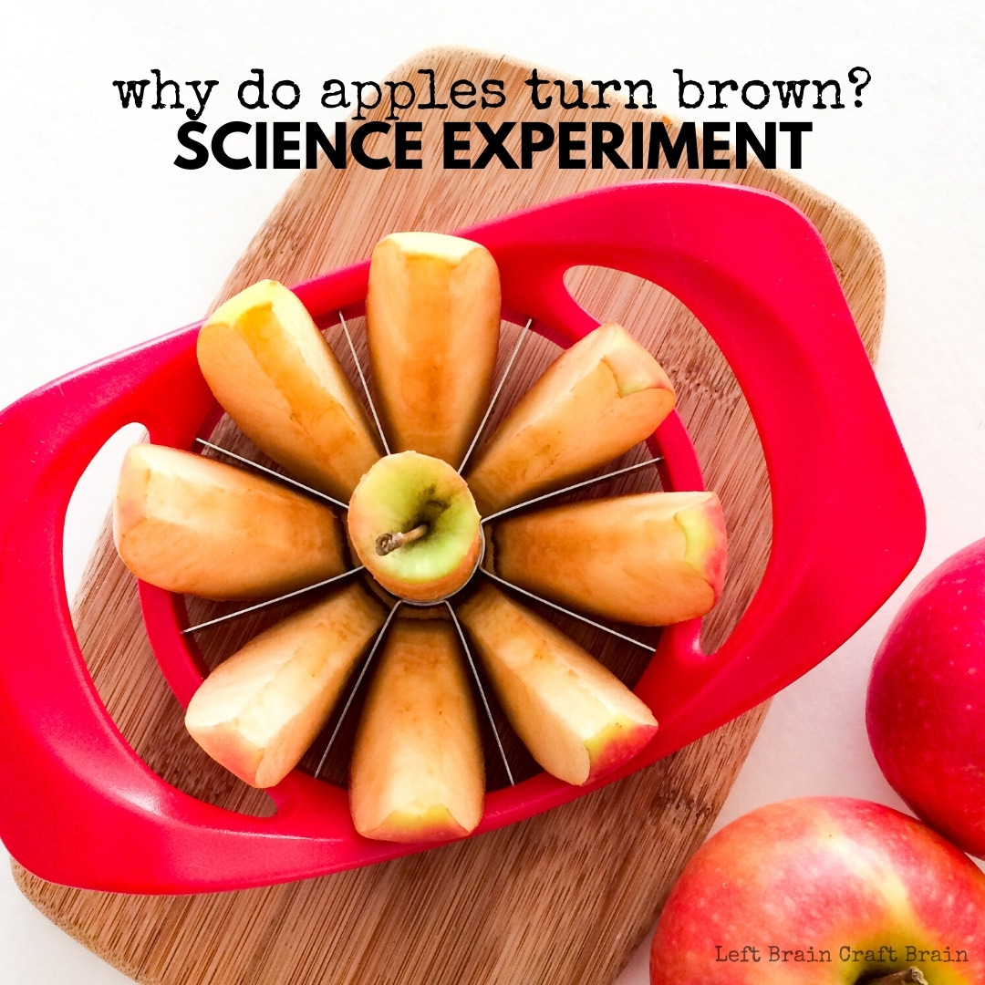 Learn why apples turn brown in this fun STEM experiment. Perfect for learning at home with supplies in your kitchen. Grab some apples and have fun!