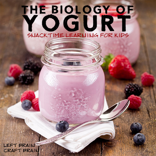 Biology of Yogurt Left Brain Craft Brain FB