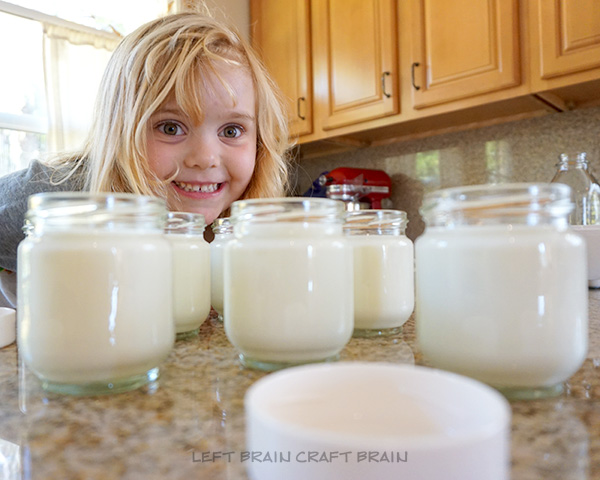 Yogurt Jars Left Brain Craft Bran