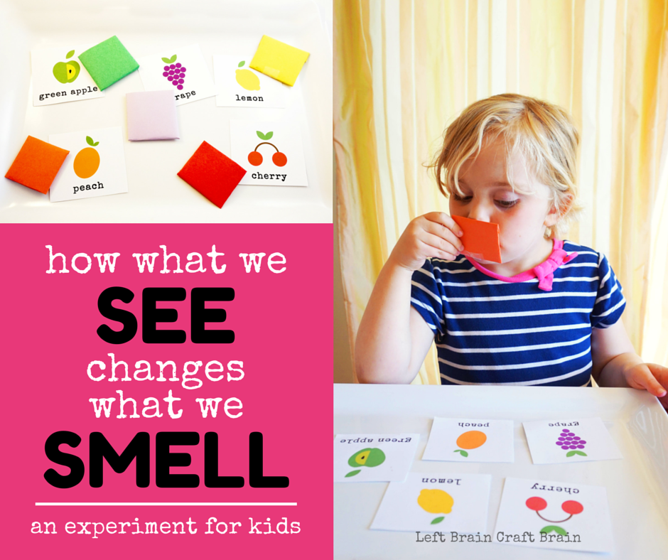 How What We See Changes What We Smell LBCB FB