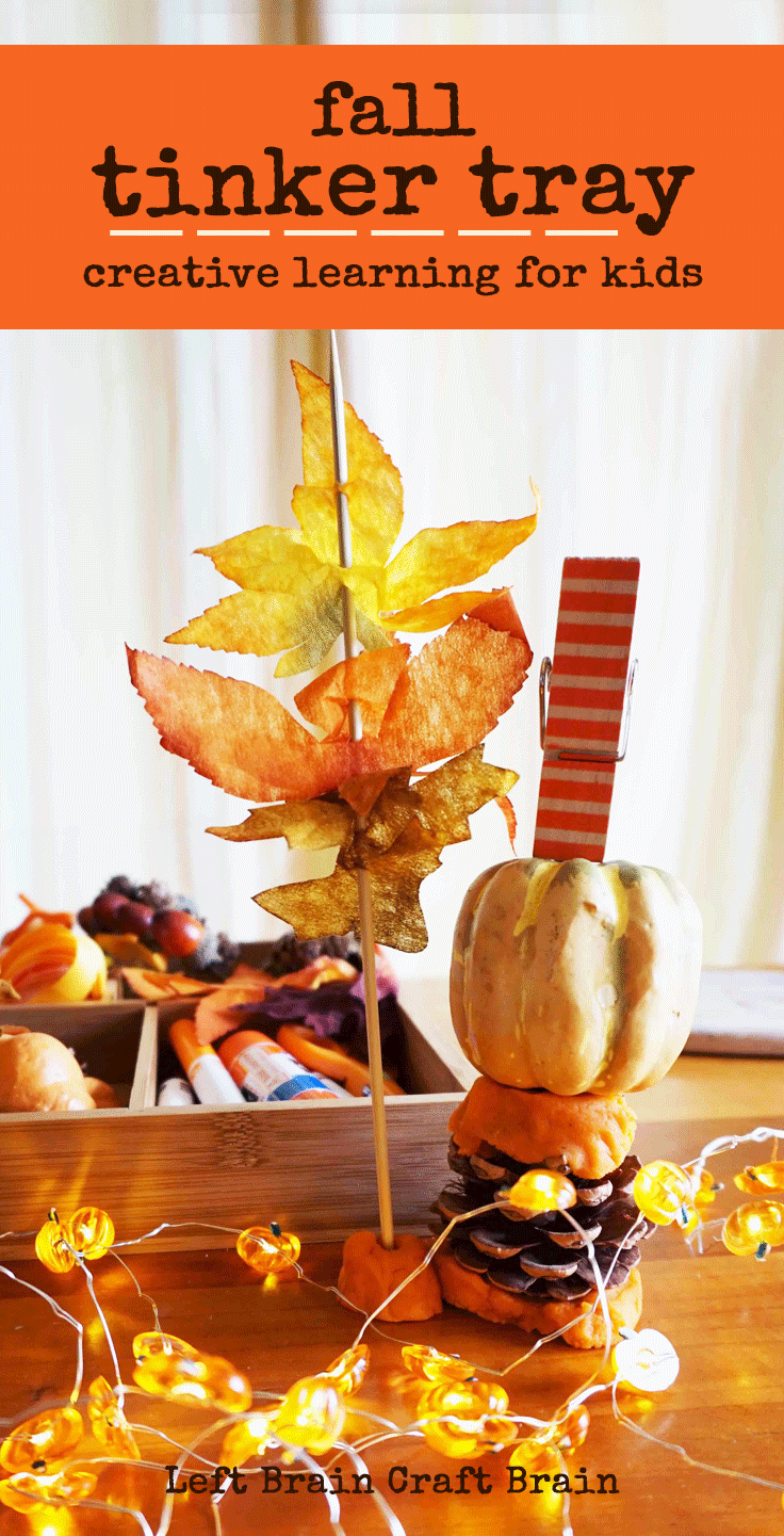 Celebrate fall with this Tinker Tray. Kids will build creative brain power and STEM skills while having fun tinkering with pumpkins, leaves and more.