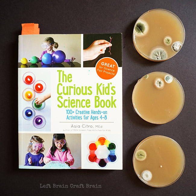The Currious Kids Science Book
