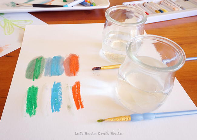 Oil and Water Solubility Test Left Brain Craft Brain