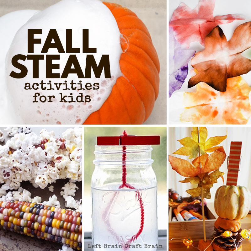 The air is getting cooler & the leaves are changing. It's fall science happening around you! This set of Fall STEAM activities are perfect for your kids.