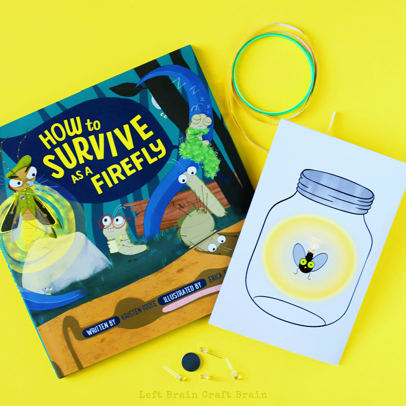 How to Survive as a FIrefly book along with the paper circuit.