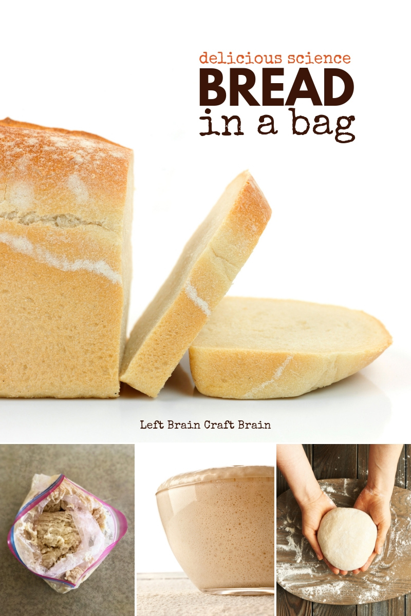 What better way to learn about science than by eating it? Especially if it's delicious. Like this yummy, Bread in a Bag recipe. Kids can learn why bread rises and feel the pride of making bread the whole family will want to eat! It's easy to make, too! This includes both a recipe and a partner yeast science experiment.