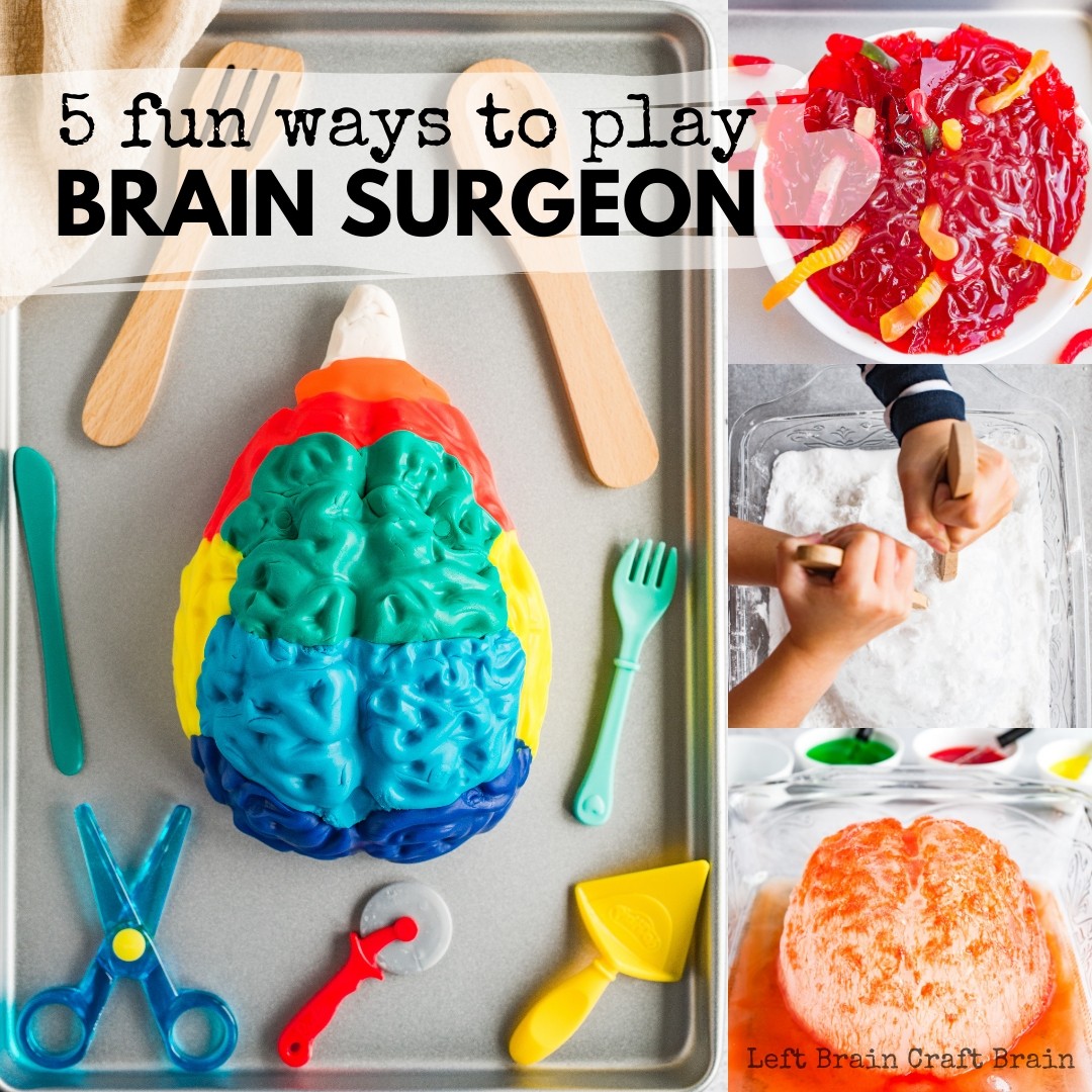 Play Brain Surgeon with a brain jello mold! Five messy and spooky ways to learn about the parts of the brain. Slime, Ice, erupting brains... Perfect for Halloween or Mad Scientist parties!