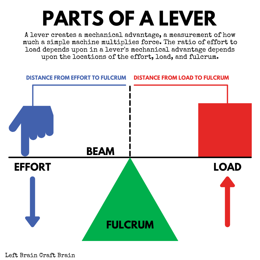 A lever creates a mechanical advantage, a measurement of how much a simple machine multiplies force. The ratio of effort to load depends upon in a lever's mechanical advantage depends upon the locations of the effort, load, and fulcrum.