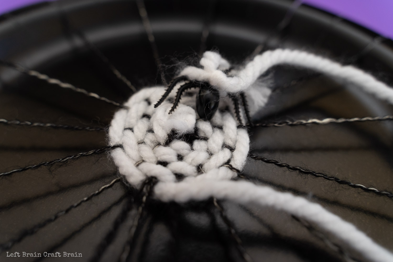 closeup of weaving with plastic spider