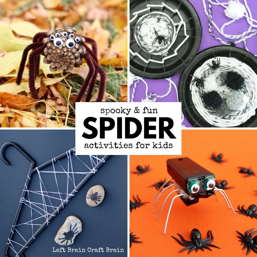 Looking for something to do today? Check out these spider activities filled with science, art, crafts, and more! They're perfect for October and Halloween.