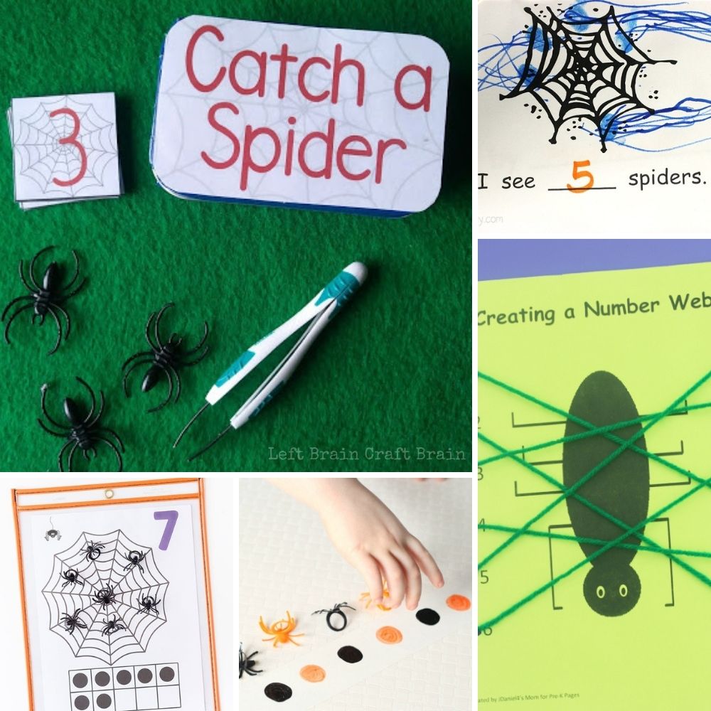 math spider activities with counting activities, spider patterns, spider yarn number web
