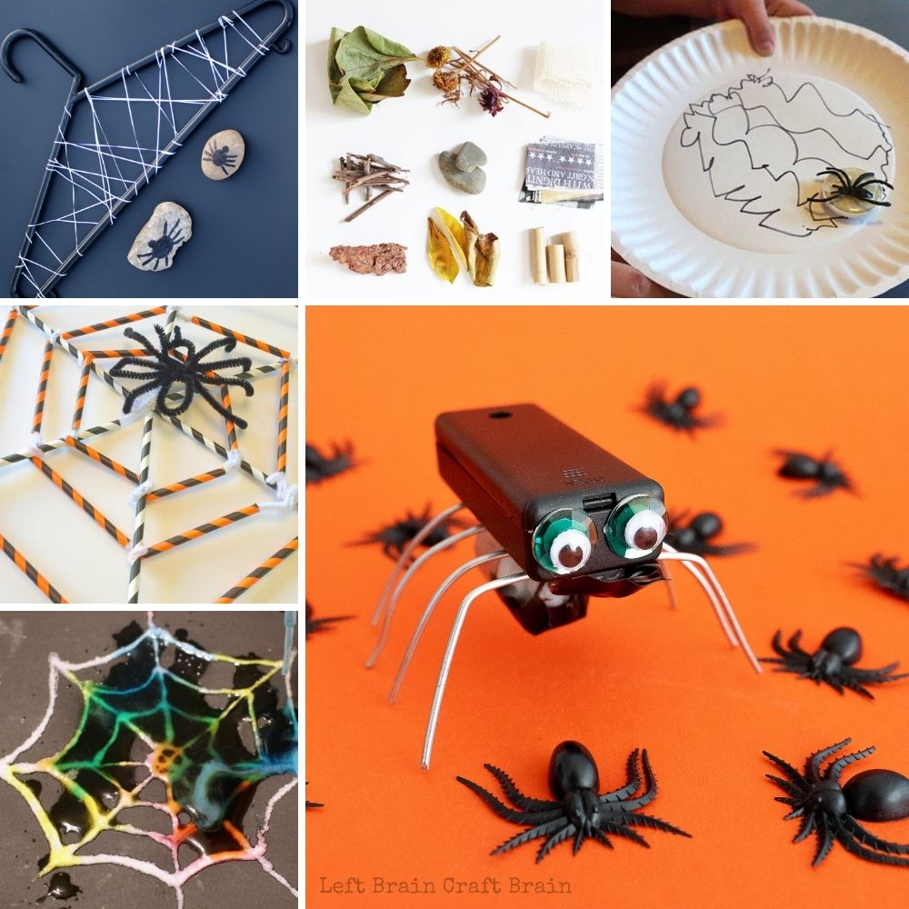 spider science and engineering project collage with spider bot, spider web wrapped on hanger, natural materials, straw spider web