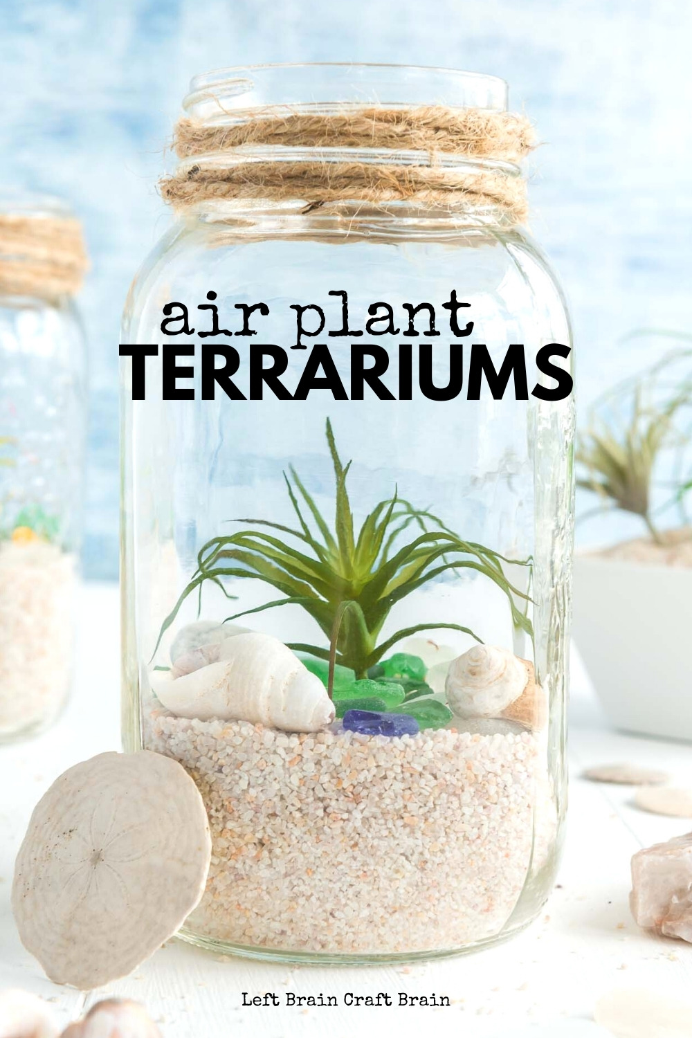 Air Plant Terrariums are fun projects for kids and adults. They're beautiful ways to decorate your home and learn about nature. They make great gifts too.