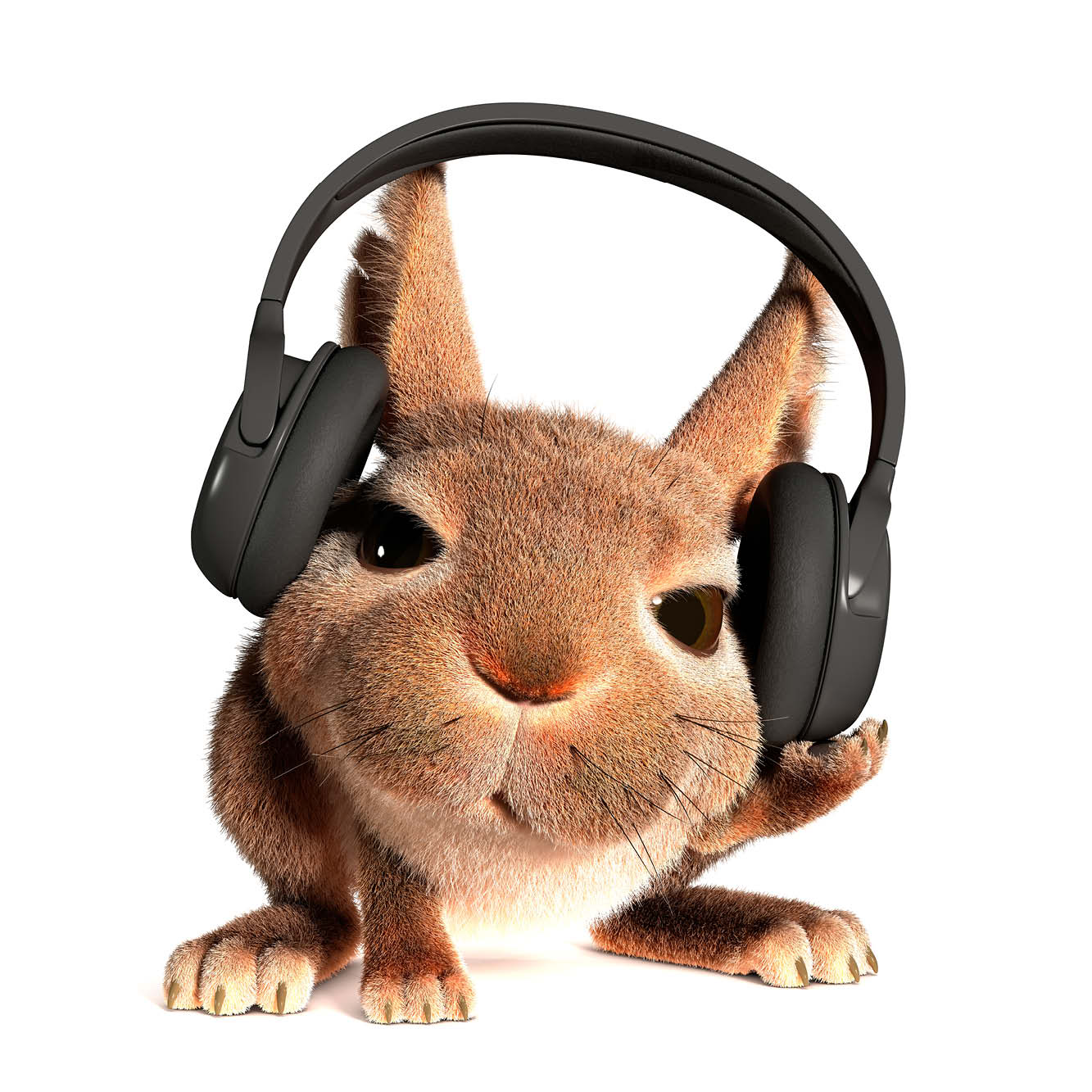 Rabbit in headphones v2