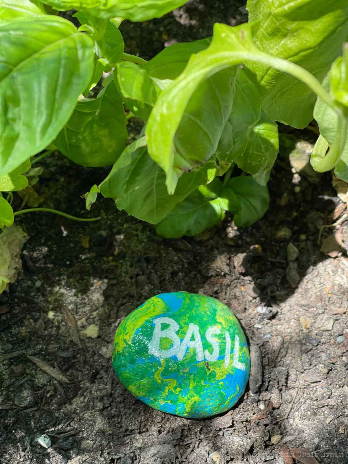 green and blue and yellow painted rock in soil basil pour painted rock garden markers