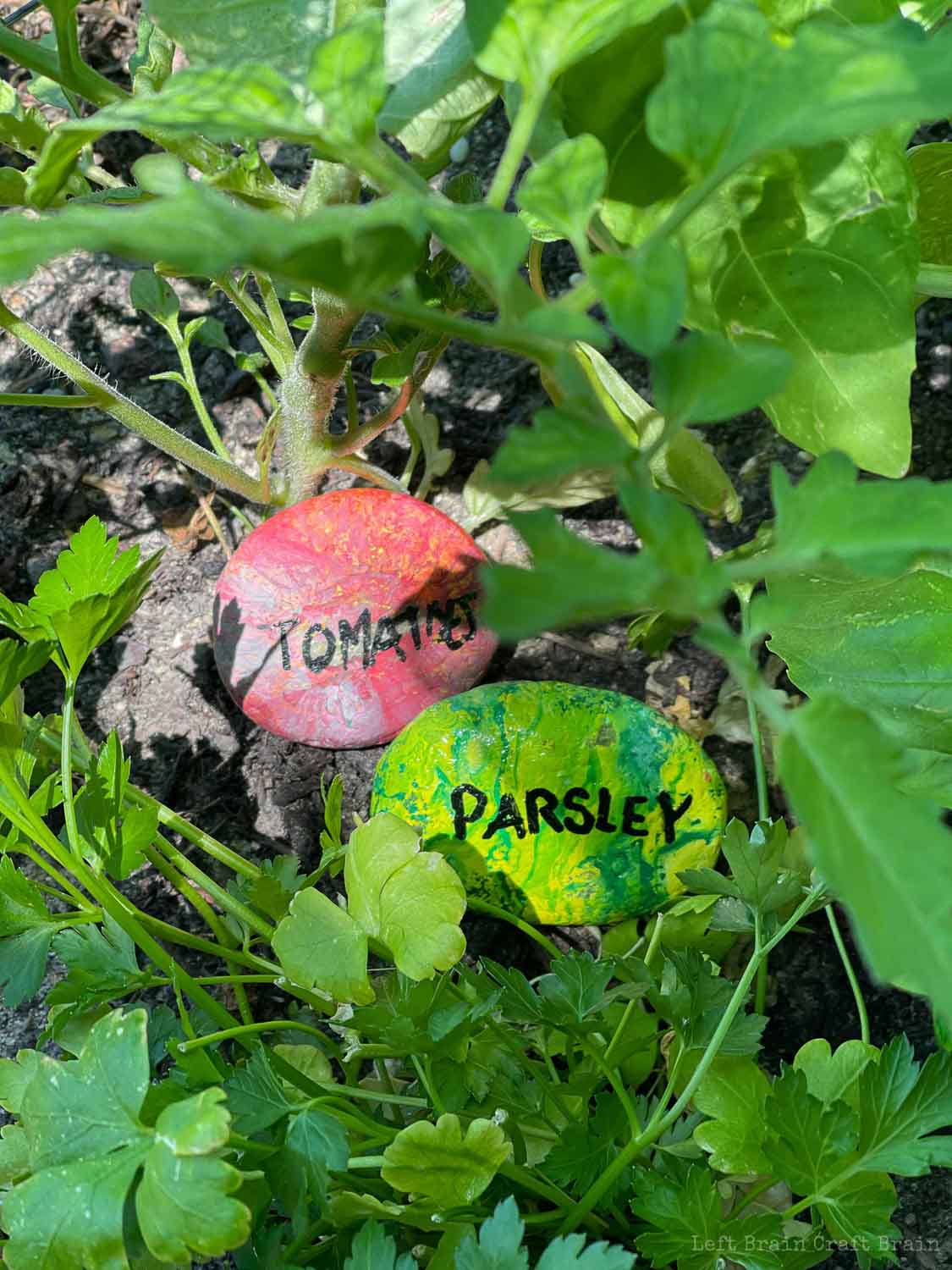 red, green, and yellow painted rocks in soil tomatoes and parsley pour painted rock garden markers