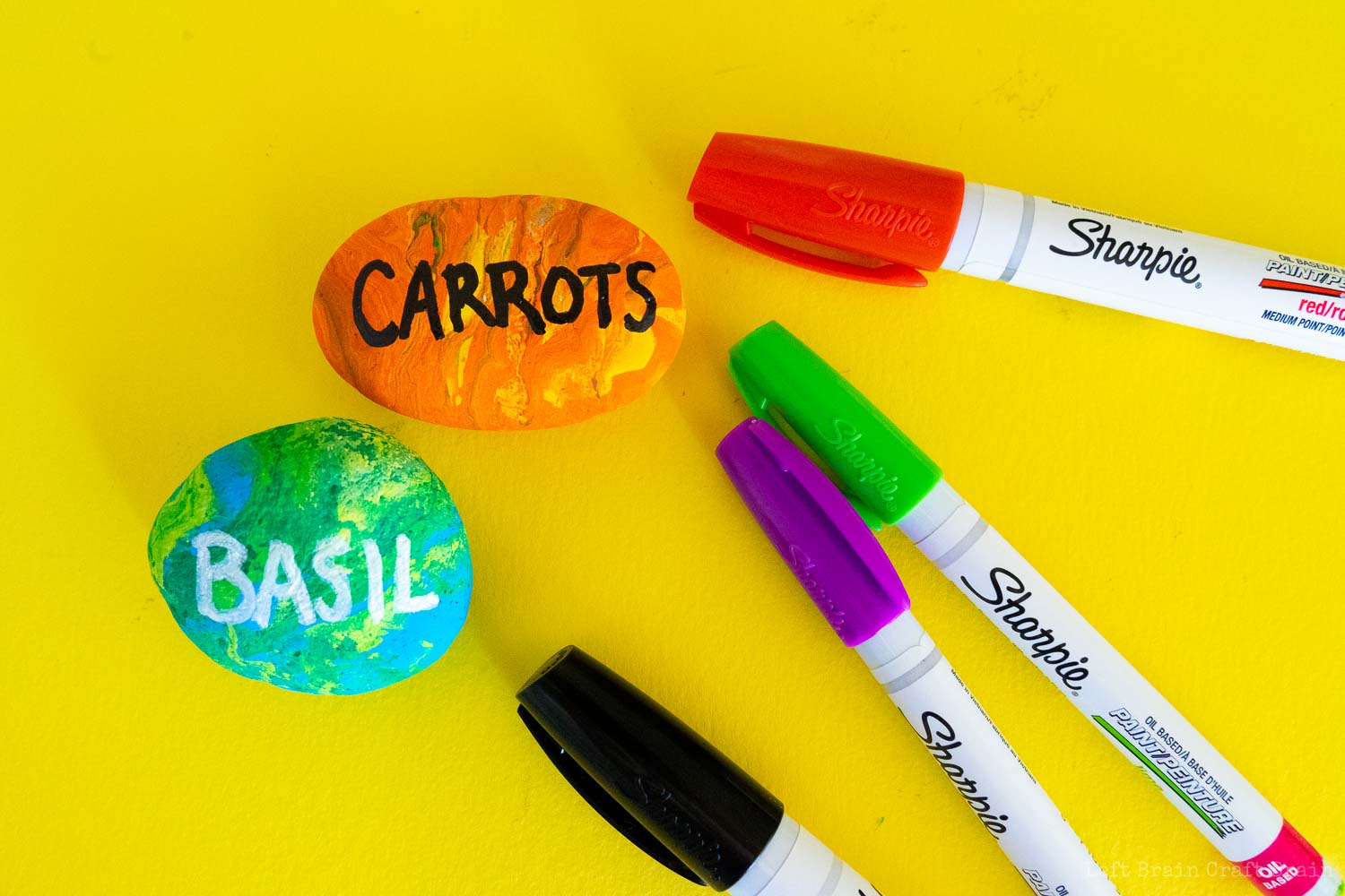 carrots and basil rocks with sharpie paint markers