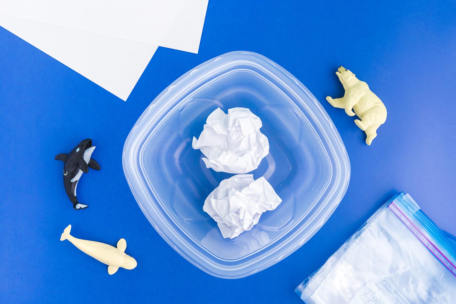 crumpled white paper in plastic container with animal toys and ziplocs around it